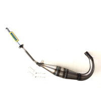 Panela escape YAMAHA DT 50 LC / LCD / LCDE / RZ / TZR - WEAPON